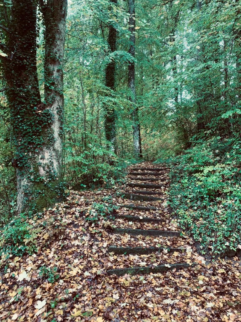 PATHWAYS AND DOORWAYS